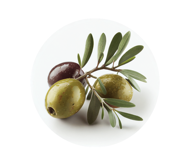 Olivenöl als pflegender Inhaltsstoff